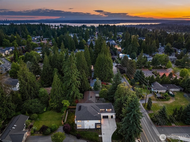 12831 NE 80th St, Kirkland, WA 98033 - photo 38