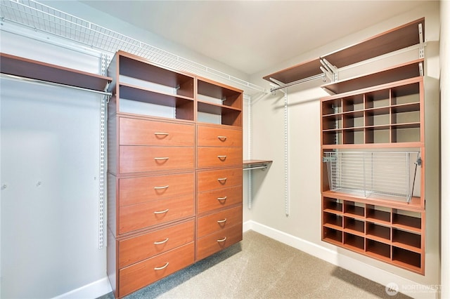 8021 234th St SW Unit 211, Edmonds, WA 98026 - spacious closet with carpet floors