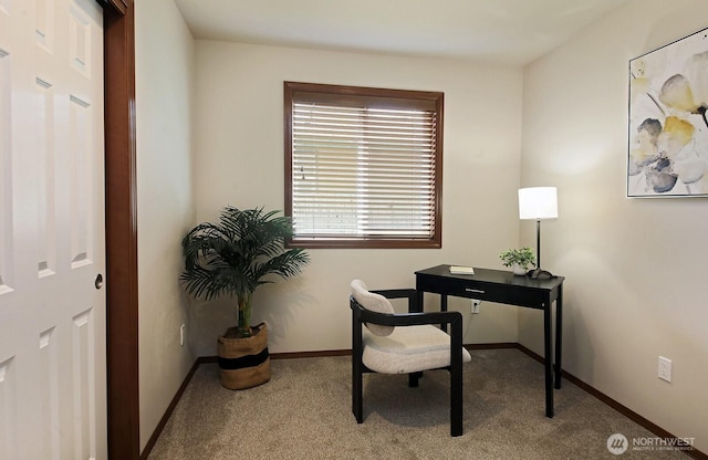 4880 Harbor Hills Dr, Freeland, WA 98249 - home office with carpet floors and baseboards