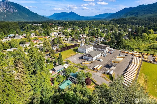 38362 SE Cedar St, Snoqualmie, WA 98065 - photo 33