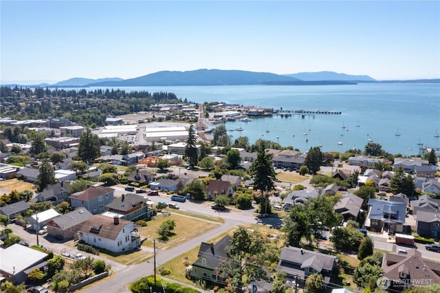 917 13th St, Bellingham, WA 98225 - photo 38