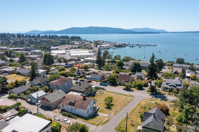 917 13th St, Bellingham, WA 98225 - photo 33