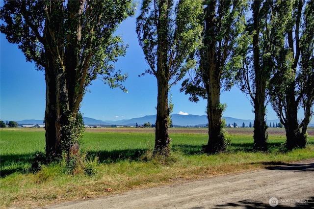 16005 La Conner Whitney Rd, La Conner, WA 98257 - photo 5
