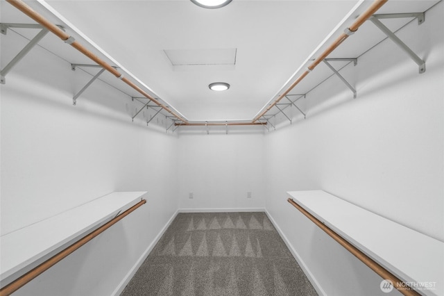 6426 Zangle Rd NE, Olympia, WA 98506 - walk in closet with carpet floors