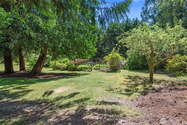 6426 Zangle Rd NE, Olympia, WA 98506 - view of green lawn