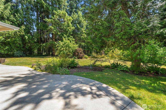 6426 Zangle Rd NE, Olympia, WA 98506 - view of green lawn featuring a patio area