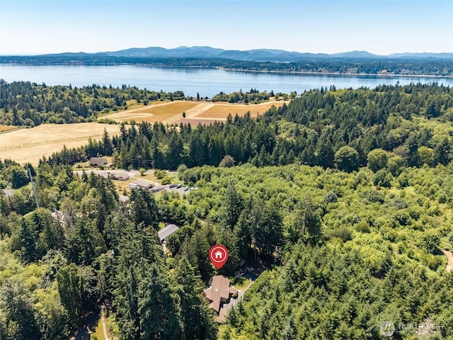 6426 Zangle Rd NE, Olympia, WA 98506 - bird's eye view of a water and mountain view and a heavily wooded area