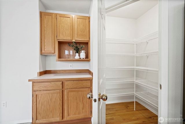 18353 160th Pl SE, Renton, WA 98058 - view of pantry