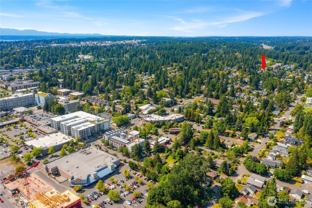 12034 Roosevelt Way NE, Seattle, WA 98125 - photo 19