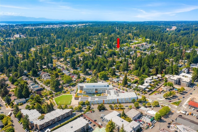 12034 Roosevelt Way NE, Seattle, WA 98125 - photo 20