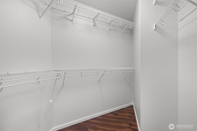 232 Belmont Ave E # 201, Seattle, WA 98102 - spacious closet with wood finished floors