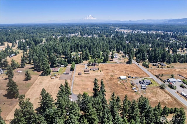 13145 Reo Rd SE, Rainier, WA 98576 - photo 27