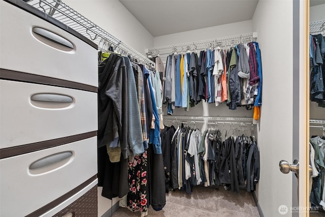 5843 Octave Ct SE, Olympia, WA 98513 - walk in closet with carpet