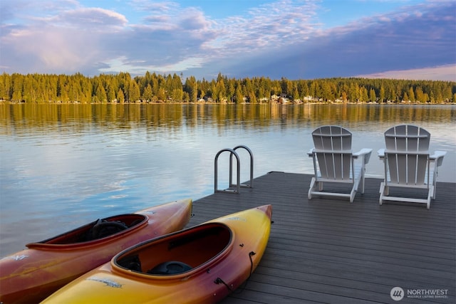 2210 E Mason Lake Dr W, Grapeview, WA 98546 - dock with a forest view and a water view