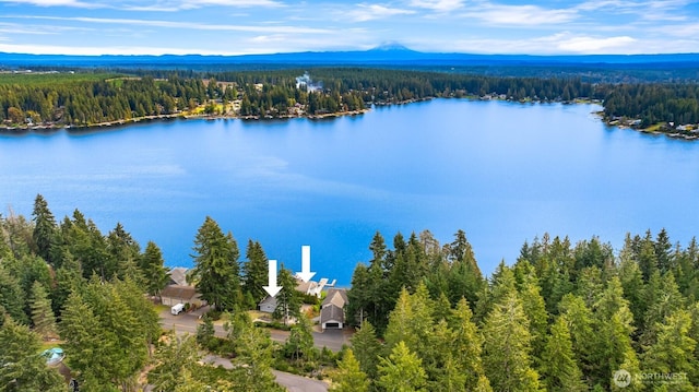 2210 E Mason Lake Dr W, Grapeview, WA 98546 - aerial view of a water and mountain view