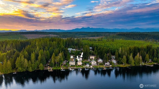 2210 E Mason Lake Dr W, Grapeview, WA 98546 - aerial view of a forest and a water and mountain view