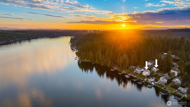 2210 E Mason Lake Dr W, Grapeview, WA 98546 - water view with a forest