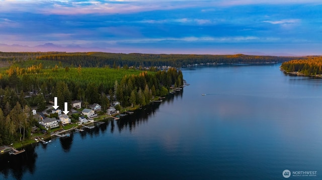 2210 E Mason Lake Dr W, Grapeview, WA 98546 - water view featuring a heavily wooded area