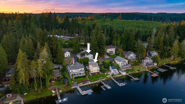2210 E Mason Lake Dr W, Grapeview, WA 98546 - aerial view at dusk of a wooded view and a water view