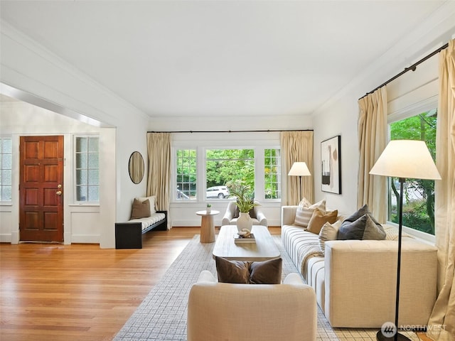 2555 Queen Anne Ave N, Seattle, WA 98109 - living room featuring light wood-type flooring, healthy amount of natural light, and crown molding
