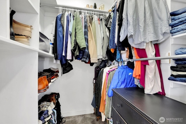 2819 W Olympic Ave, Spokane, WA 99205 - view of spacious closet