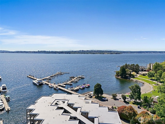 65 Kirkland Ave Unit 108, Kirkland, WA 98033 - water view