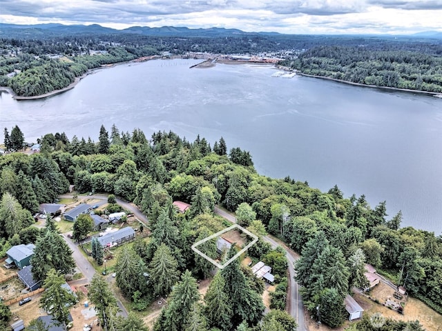 40 E Bridger Ln, Shelton, WA 98584 - photo 19