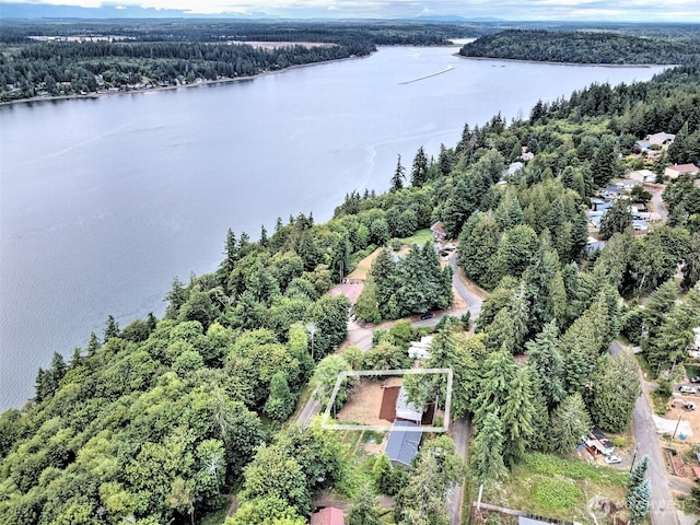 40 E Bridger Ln, Shelton, WA 98584 - photo 24