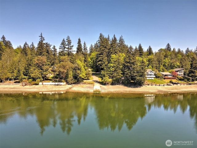 40 E Bridger Ln, Shelton, WA 98584 - photo 34