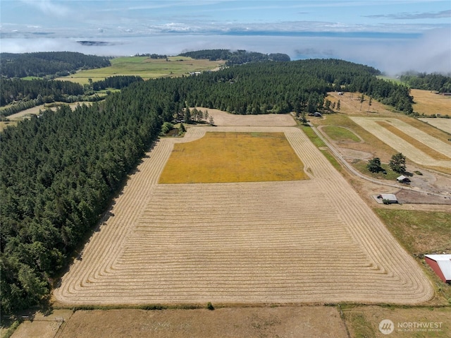 132 Harald Glen Ln, Lopez Island, WA 98261 - photo 2