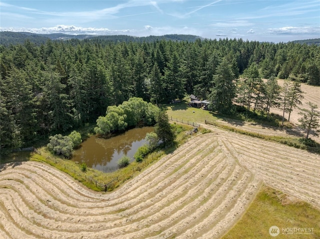 132 Harald Glen Ln, Lopez Island, WA 98261 - photo 5