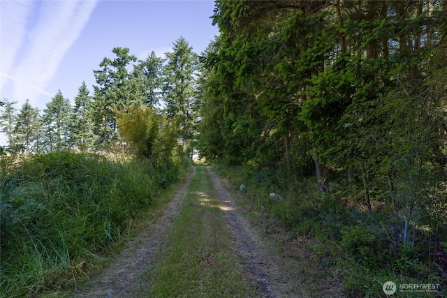 132 Harald Glen Ln, Lopez Island, WA 98261 - photo 13