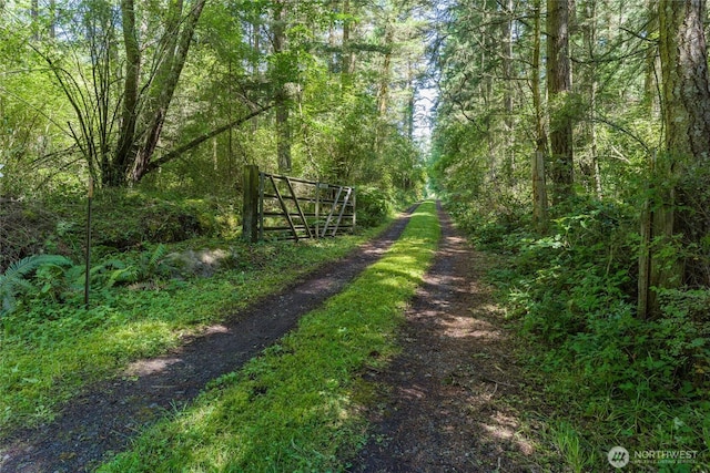 132 Harald Glen Ln, Lopez Island, WA 98261 - photo 14