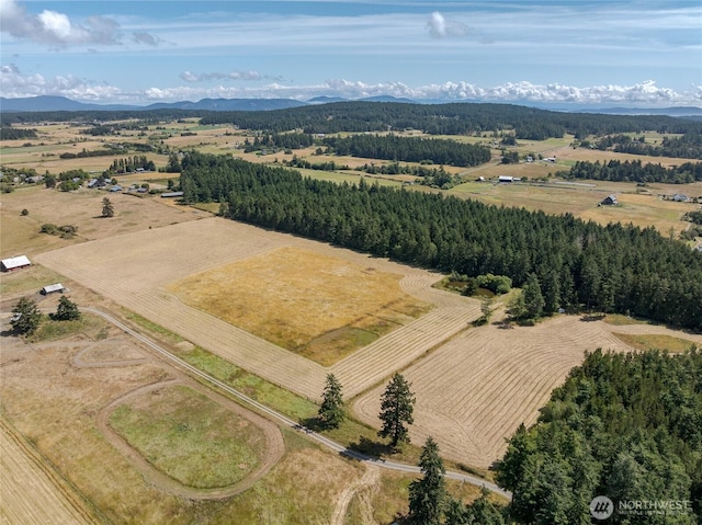 132 Harald Glen Ln, Lopez Island, WA 98261 - photo 1