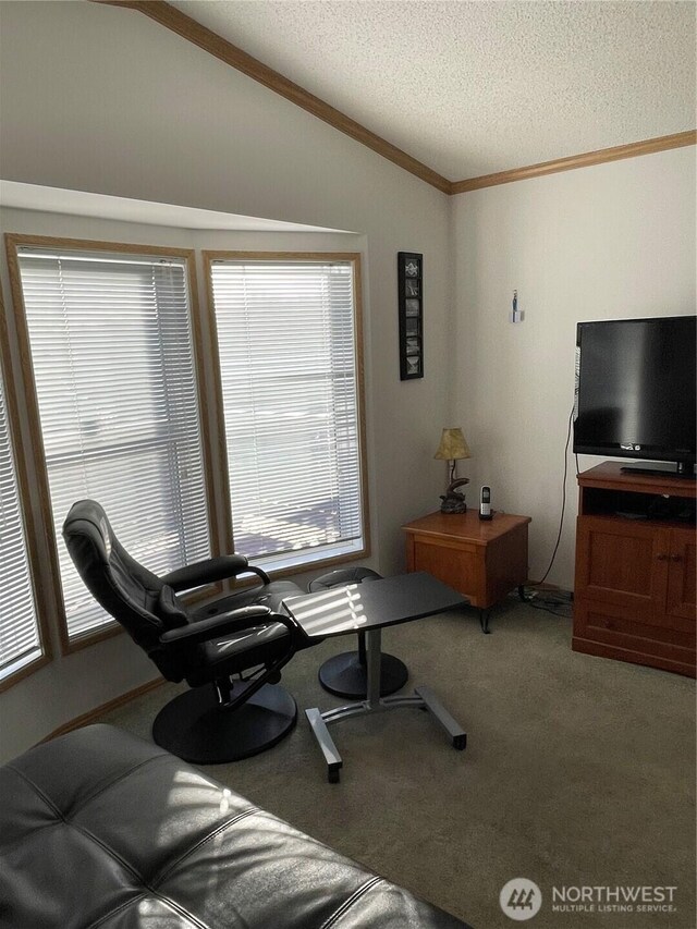 1200 Lincoln St Unit 117, Bellingham, WA 98229 - carpeted living room featuring lofted ceiling, a textured ceiling, and ornamental molding