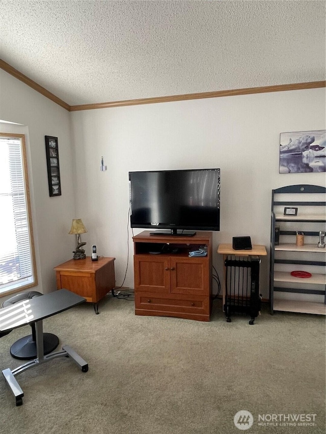 1200 Lincoln St Unit 117, Bellingham, WA 98229 - living area featuring ornamental molding, light carpet, a textured ceiling, and vaulted ceiling