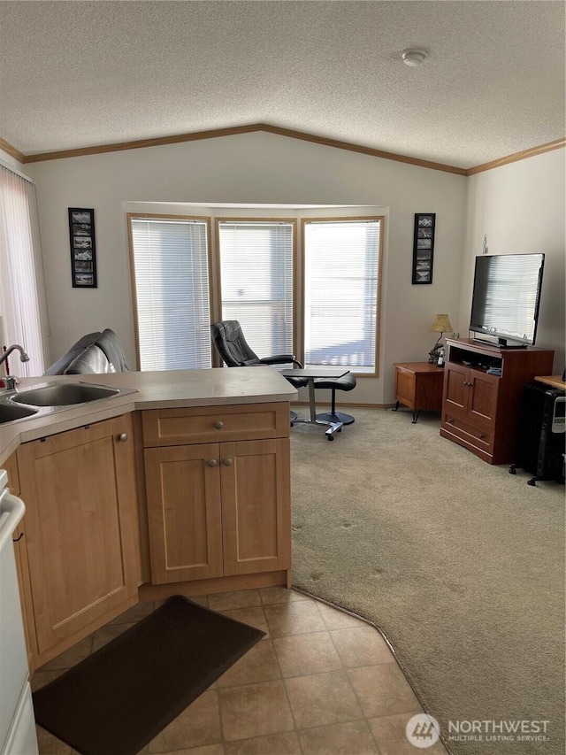 1200 Lincoln St Unit 117, Bellingham, WA 98229 - kitchen with vaulted ceiling, a textured ceiling, light carpet, crown molding, and light countertops