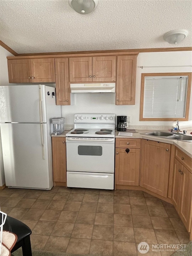1200 Lincoln St Unit 117, Bellingham, WA 98229 - kitchen with white appliances, under cabinet range hood, a textured ceiling, light countertops, and ornamental molding
