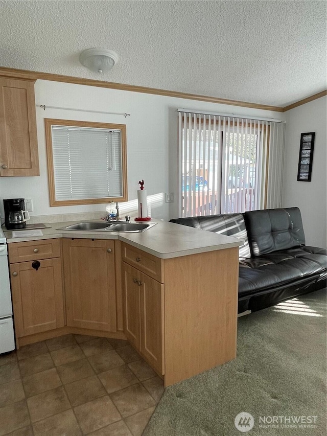 1200 Lincoln St Unit 117, Bellingham, WA 98229 - kitchen featuring a textured ceiling, ornamental molding, a peninsula, light countertops, and light brown cabinets