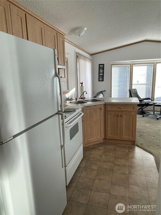 1200 Lincoln St Unit 117, Bellingham, WA 98229 - kitchen featuring freestanding refrigerator, white electric stove, a peninsula, a textured ceiling, and plenty of natural light