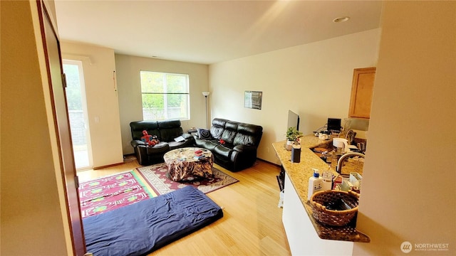 1317 52nd St NE Unit 1304, Auburn, WA 98002 - living room featuring light wood-style floors