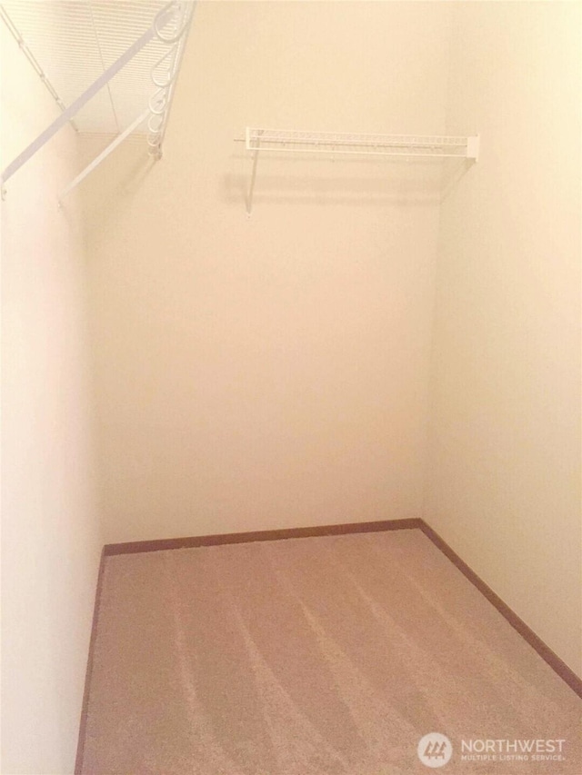 1317 52nd St NE Unit 1304, Auburn, WA 98002 - spacious closet featuring carpet