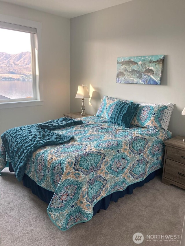 132 Ridgeview Dr, Chelan, WA 98816 - photo 14