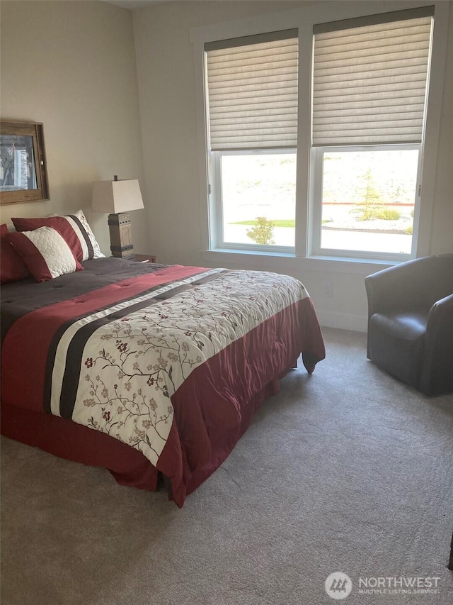 132 Ridgeview Dr, Chelan, WA 98816 - photo 15