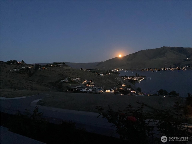 132 Ridgeview Dr, Chelan, WA 98816 - photo 29