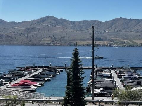 132 Ridgeview Dr, Chelan, WA 98816 - photo 34