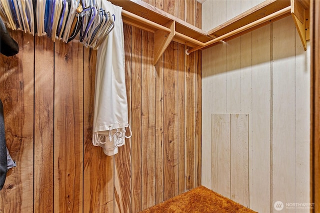 2400 Donovan Unit 67, Bellingham, WA 98225 - view of walk in closet