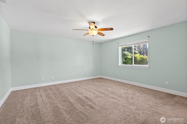 909 Burton Ray St NE, Olympia, WA 98516 - photo 16