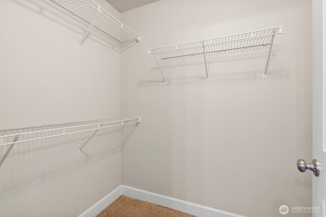 909 Burton Ray St NE, Olympia, WA 98516 - photo 20