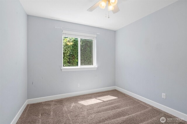 909 Burton Ray St NE, Olympia, WA 98516 - photo 21